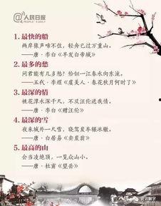 搞笑古诗大爆料视频,搞笑古诗大爆料，古风幽默尽收眼底